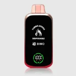 alibarbar mango magic - Professional Guide and Review