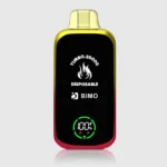 first e - Professional Guide and Review