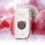 disposable vape brands - Professional Guide and Review