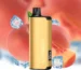 iget bar pro 10000 puffs - Professional Guide and Review