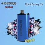Blackberry-Ice
